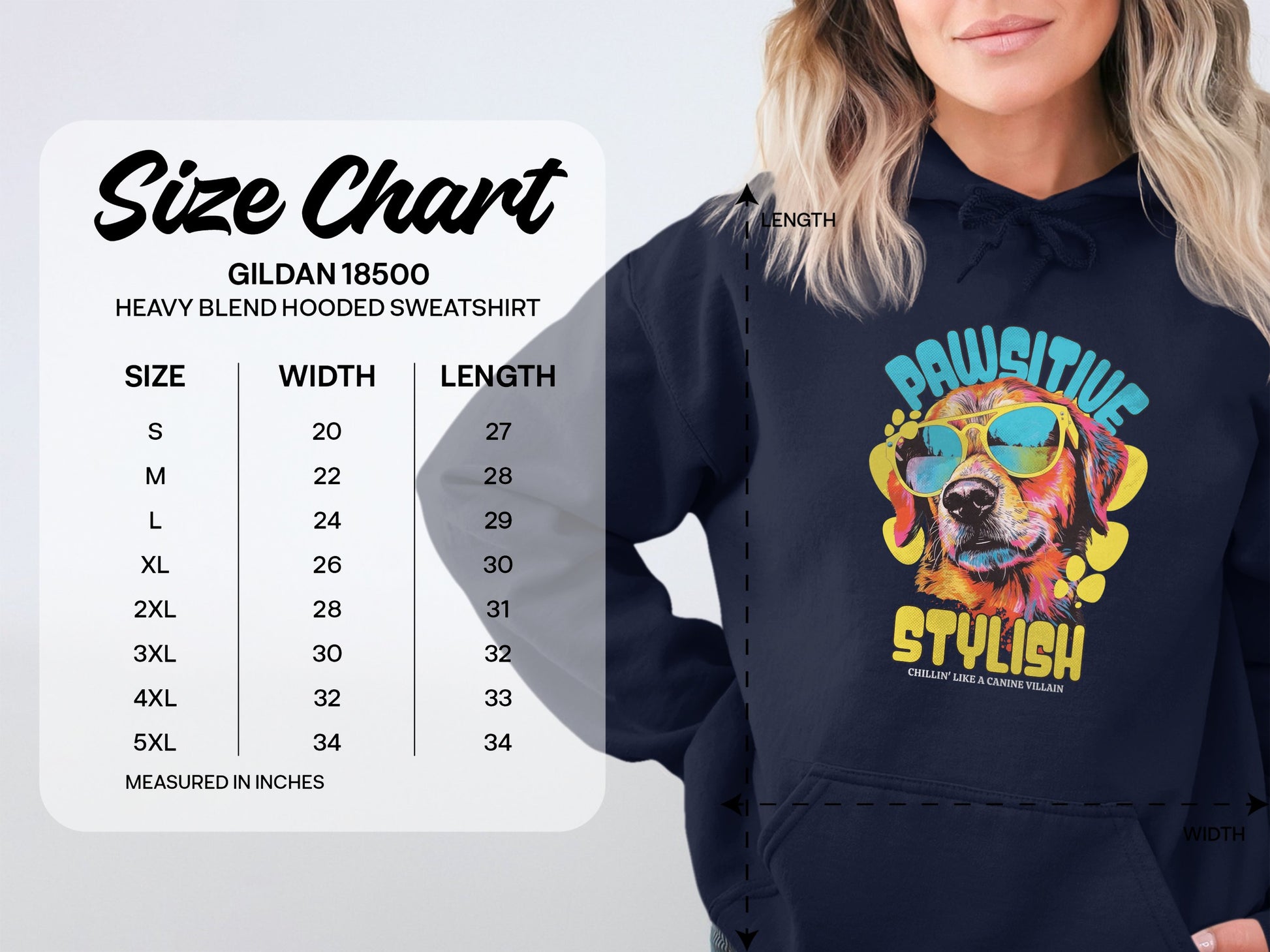 Garment Graphics presents a navy blue hoodie with a playful design of a colorful dog in sunglasses and Pawsitive Stylish text. Size chart (Small to 5XL) shows width and length in inches on the left; right features woman modeling this unique style.