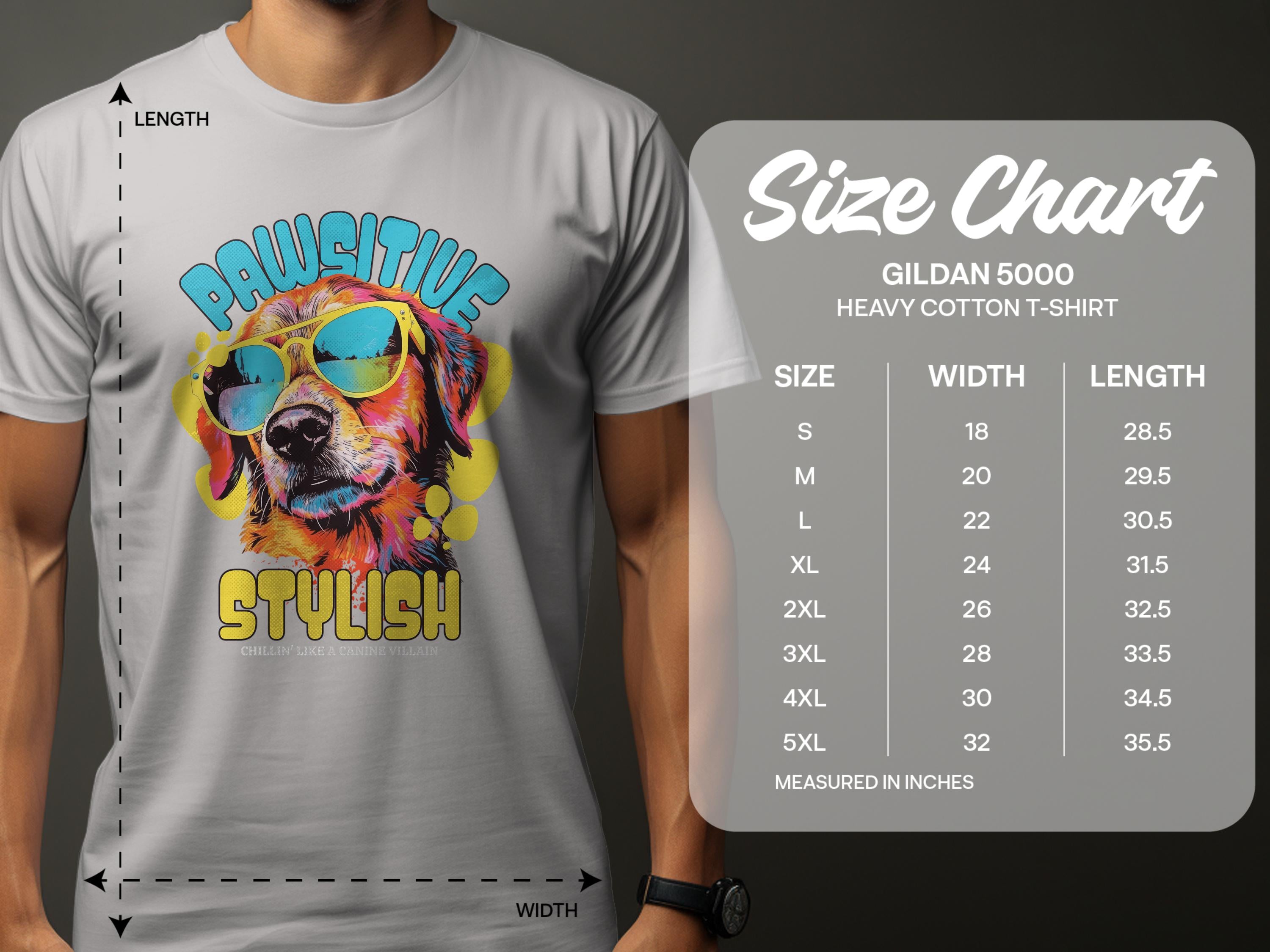 A person in a white Garment Graphics Dog T-Shirt displays a colorful graphic of a dog with sunglasses and Paw-sitive Stylish text. Nearby is a Gildan 5000 heavy cotton size chart for sizes S to 5XL, showing width and length measurements. Perfect for chillin like a canine villain!.